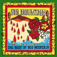Big Mountain- Baby, I Love Your Way