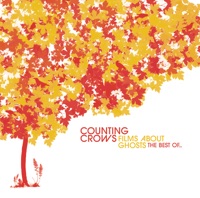 Counting Crows & Vanessa Carlton- Big Yellow Taxi