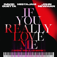 David Guetta,MistaJam,John Newman - If You Really Love Me (How Will I Know)