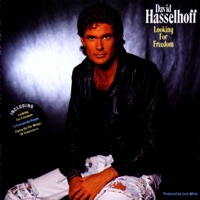 David Hasselhoff- Looking for Freedom