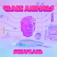 Glass Animals- Heat Waves