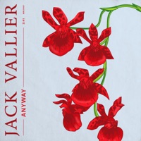 Jack Vallier- Love You Twice