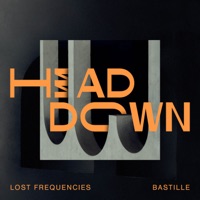 Lost Frequencies & Bastille- Head Down