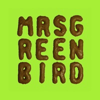 Mrs. Greenbird - Shooting Stars & Fairy Tales