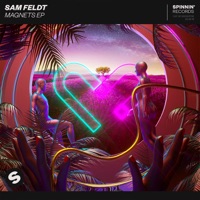 Sam Feldt, RANI- Post Malone (feat. RANI)
