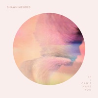 Shawn Mendes- If I Can't Have You