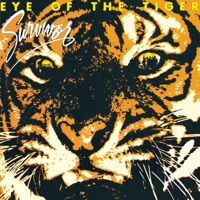 Survivor- Eye of the Tiger