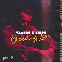 VAMERO, LIZOT- Bleeding Love